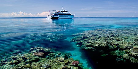 Diving course with Prodive