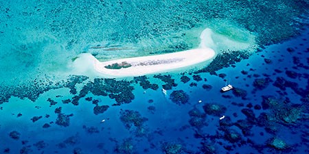 Michaelmas Cay - The Great Barrier Reef Australia
