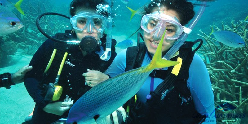 Green Island Scuba Diving - Great Barrier Reef